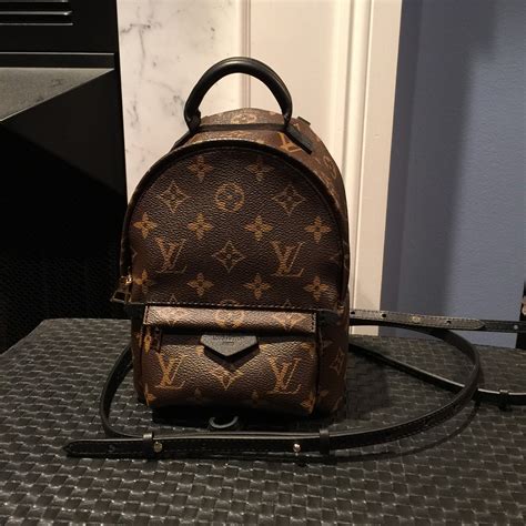 louis vuitton mini backpack dog|Louis Vuitton mini backpack women.